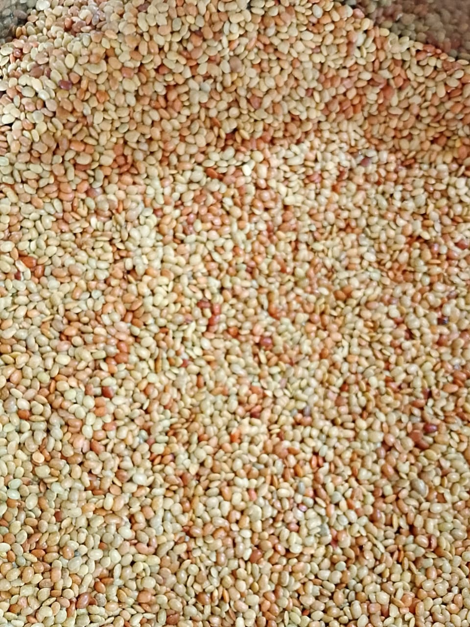 Muthira