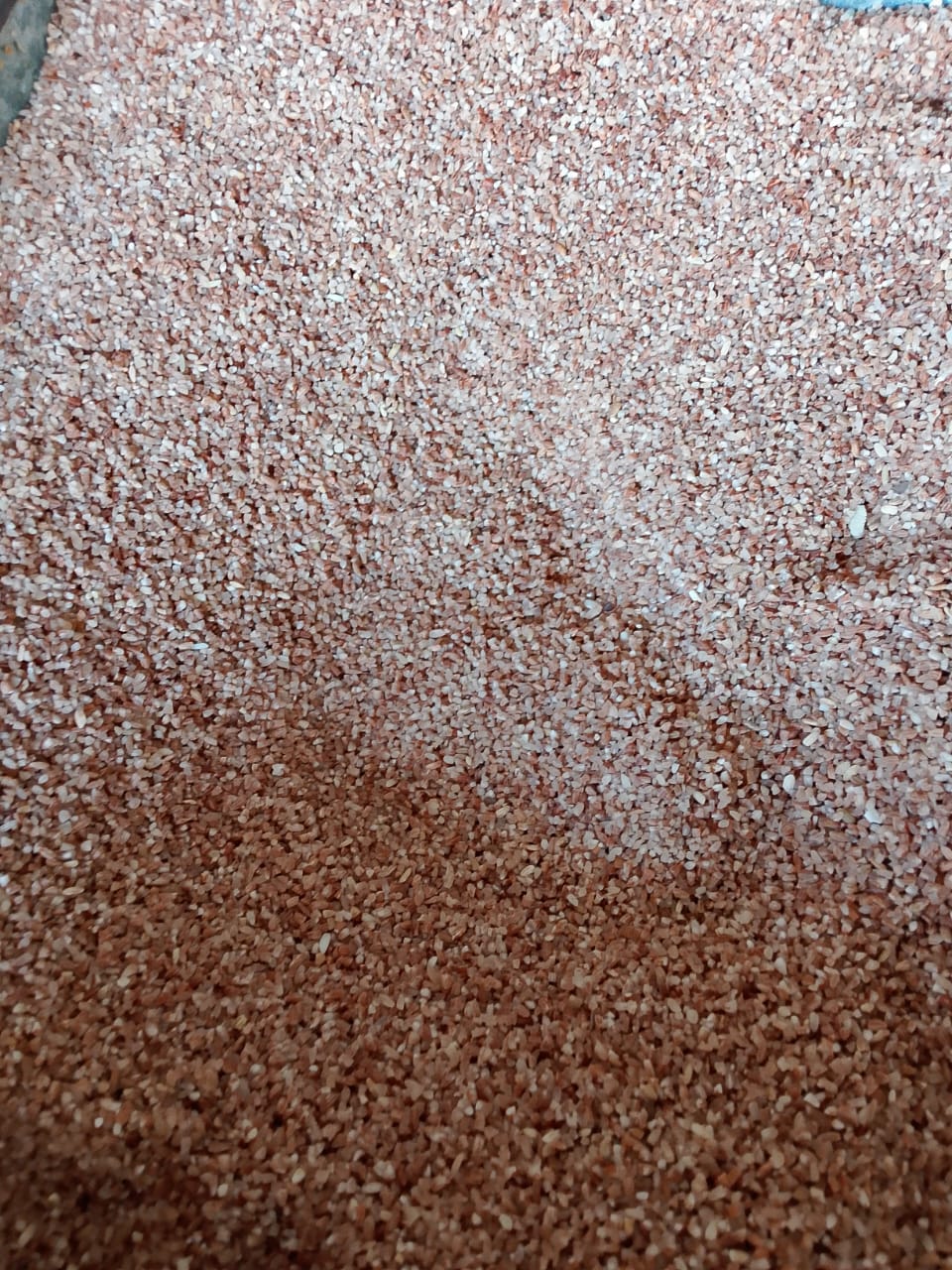 Nelluthari (First Quality)